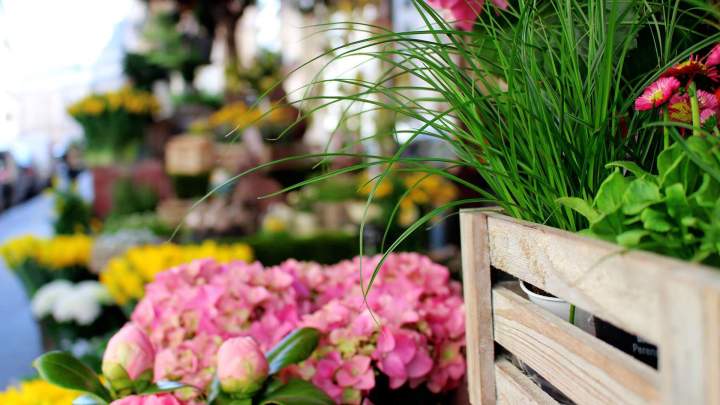 Fleuriste haut de gamme Paris