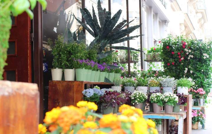 Fleuriste haut de gamme Paris