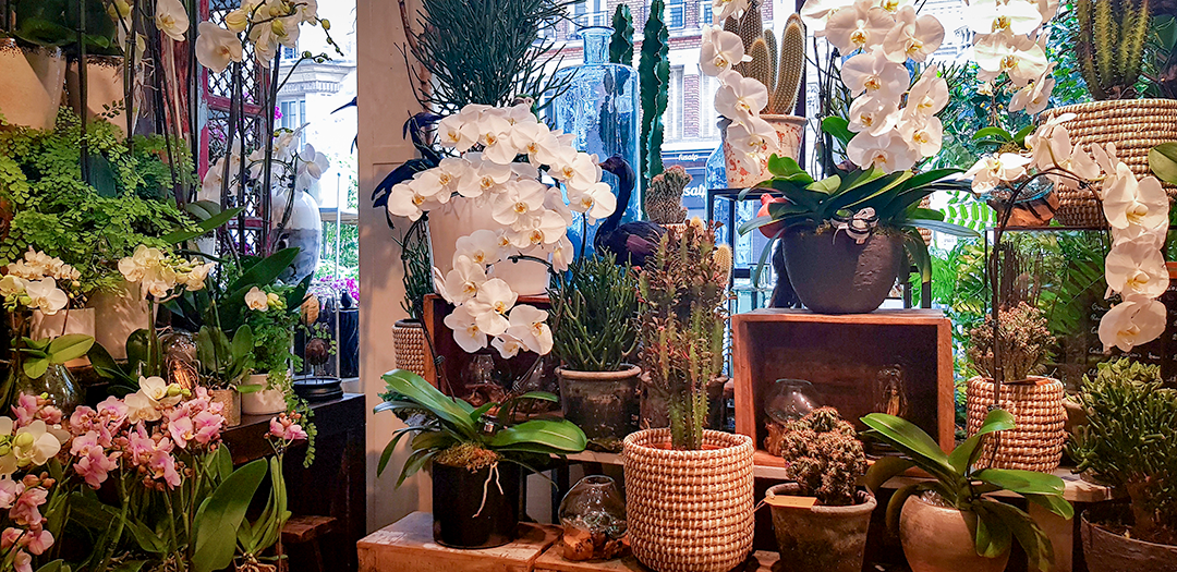 Fleurs entreprise Paris